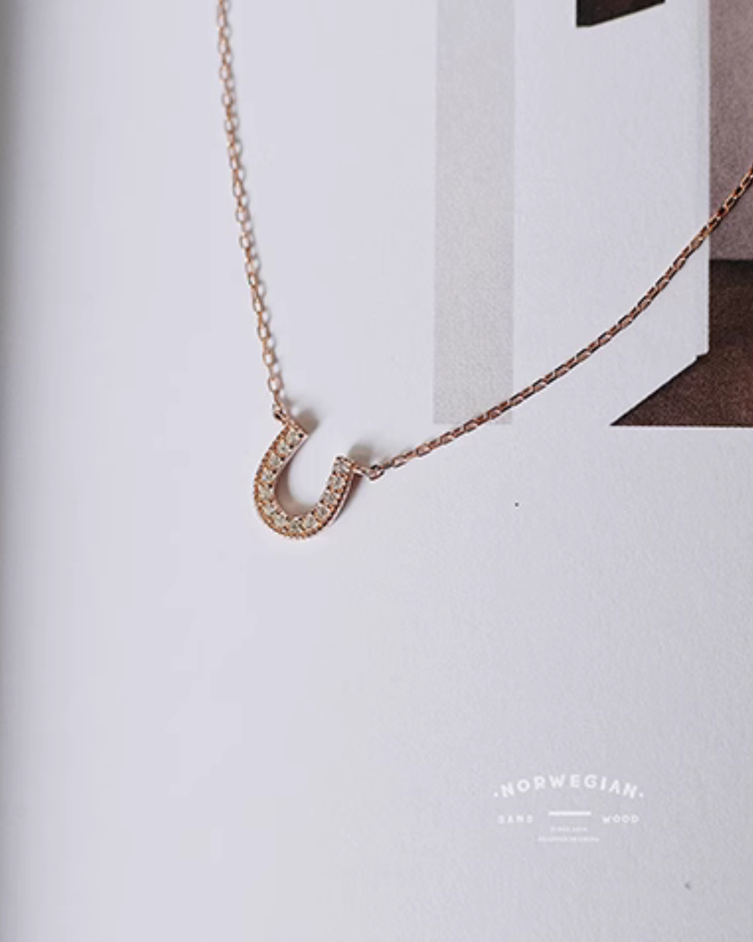 Horseshoe Necklace SSW0009
