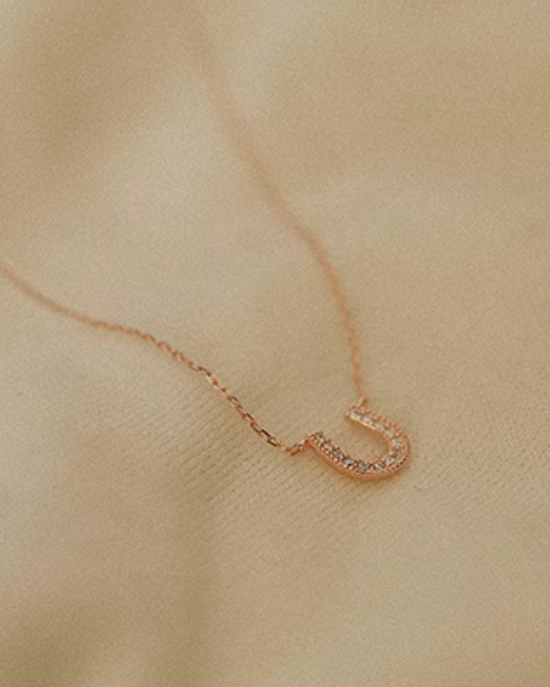 Horseshoe Necklace SSW0009